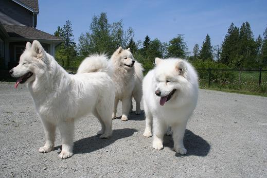 All three - May 28th, 09 vk
