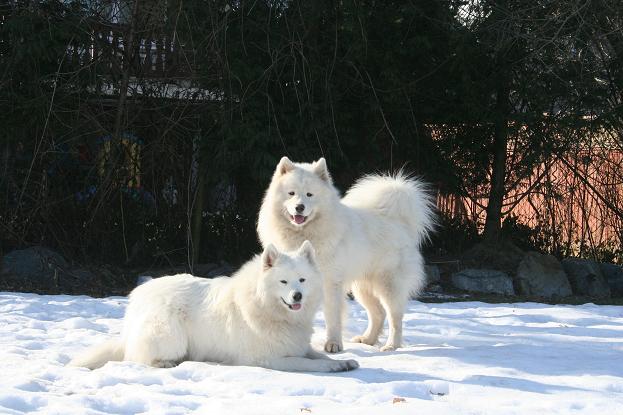 Ayla and Magnum - proud parents