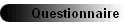 Questionnaire