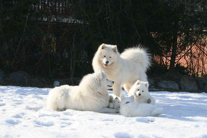 Family cuddle time