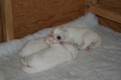 10h day 013