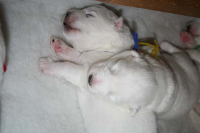 10th day 024