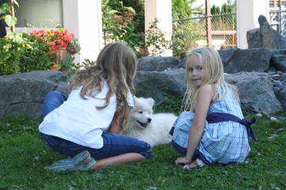 Duschi Baby enjoys all the pets she gets!