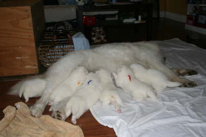 As long as mommy is close by, all is good!