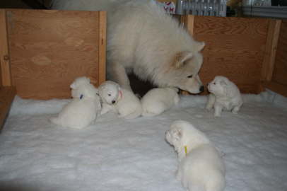 "You have grown so much, little guys!"
