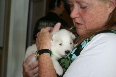 You could resist cuddle with this little baby.