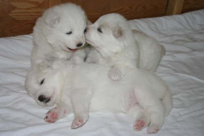 Cuddle time