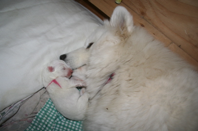 1st day 004