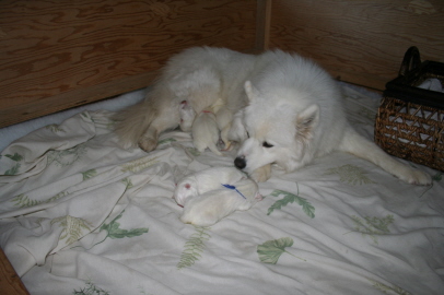 1st day 007