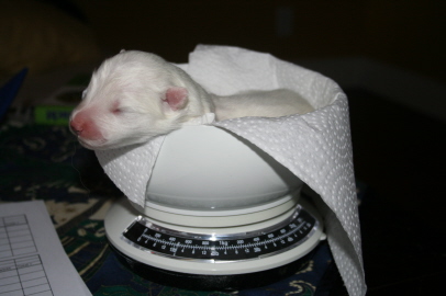 1st day 009