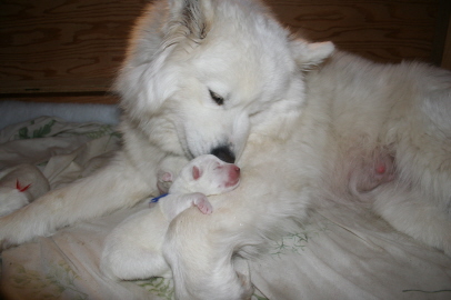 1st day 012