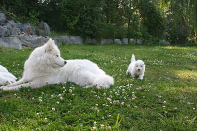 23th day outdoors & Bo 007