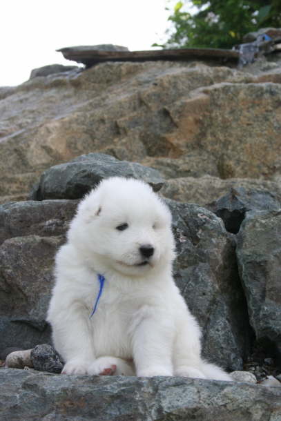 23th day outdoors & Bo 035