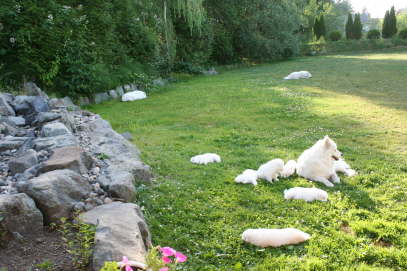 Everybody for its favorite place to rest....