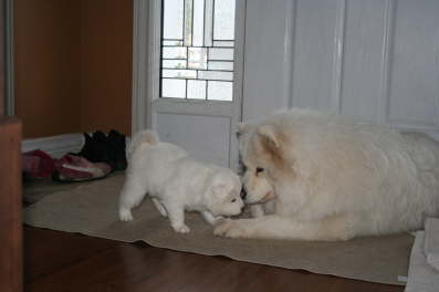 25th day "What did you bring Granny?"