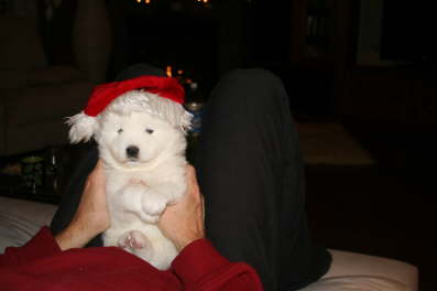 Blue boy wishes Merry Christmas