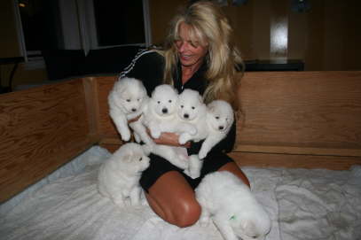 26th day - alle puppies 045