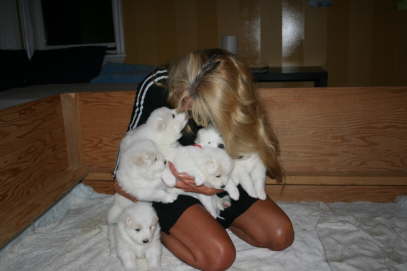 26th day - alle puppies 057