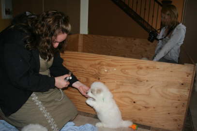 For sure these puppies are used to cameras ;-)