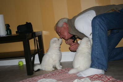 "May I get another puppy kiss?"