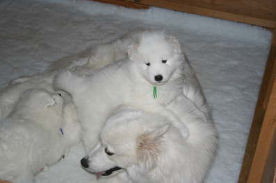 Like playing with mom.