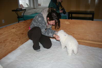 40th day - Tiffany is introducing herself to little blue boy - her puppy!