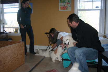 47th day - The owners of Sonny (Roughdiamond's Blizzard) dropped by and enjoyed some time with the puppies.