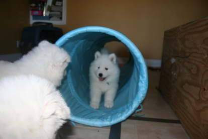 Blue boy: "Look what my mom braught us!"