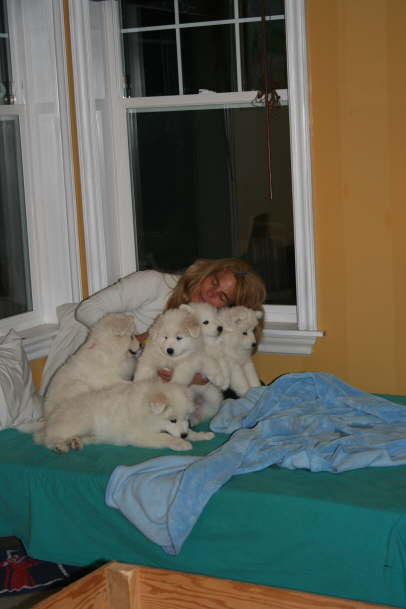 .... a big last cuddle time with all 5 puppies.