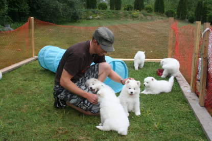 Future puppy owner Phil enjoys some playtime with the puppies