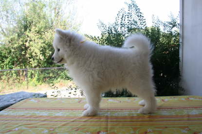 7 week photosession 018