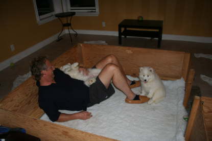 It's getting quite in the puppy apartement - Meinolf and Green Girl Duschi jr. and Yellow Girl are enjoying some cuddle time.