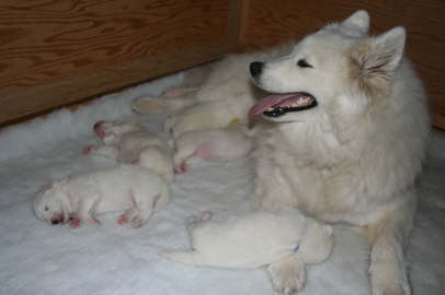 9th day 038