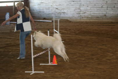 Agility Ayla April 09 (12)