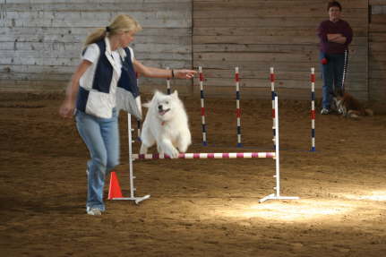 Agility Ayla April 09 (13)
