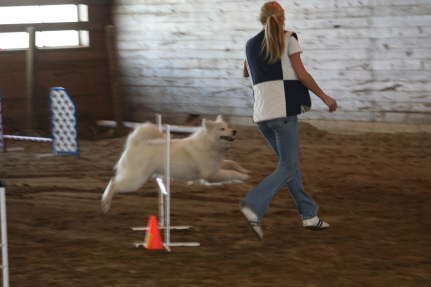 Agility Ayla April 09 (18)