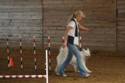 Agility Ayla April 09 (19)