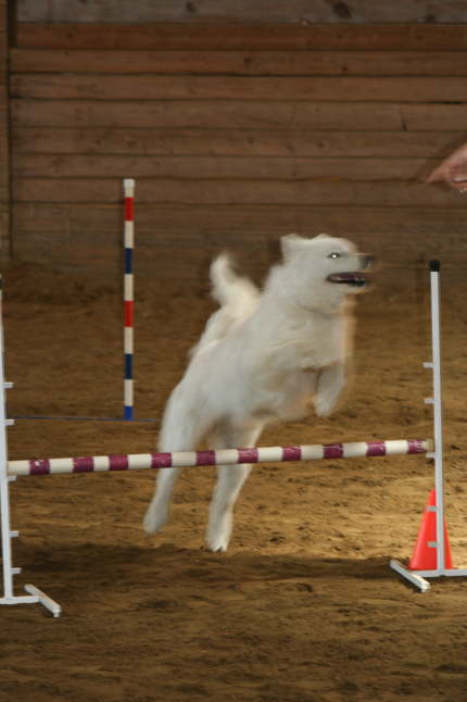 Agility Ayla April 09 (20)