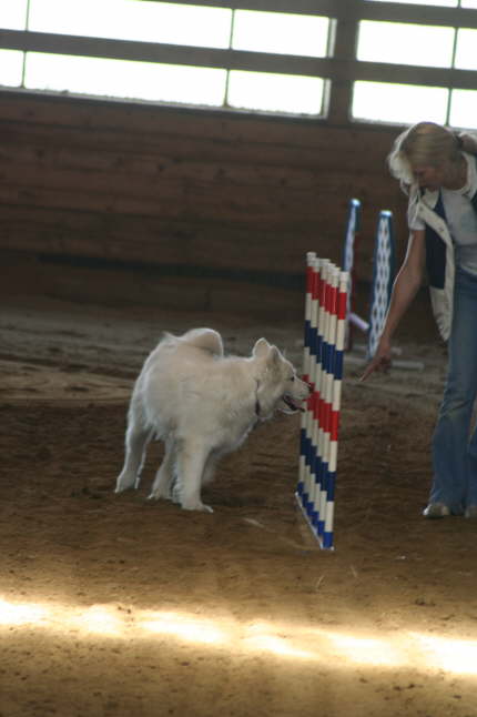 Agility Ayla April 09 (5)