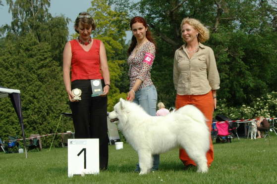 Roughdiamnd's Ajuma (Clubsiegerin 2007 Europe)