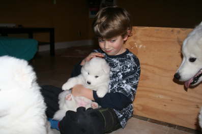 Braiden and pink girl