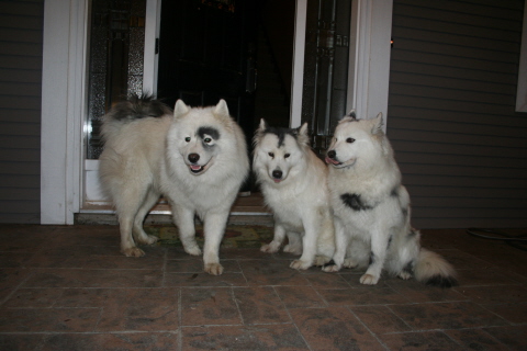 Halloween 2009