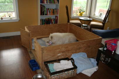 Duschka before giving birth 006