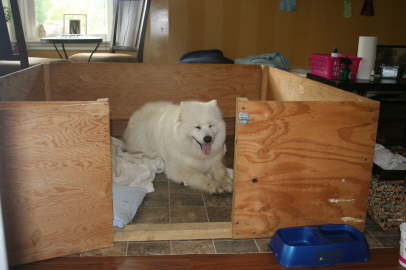 Duschka before giving birth 010