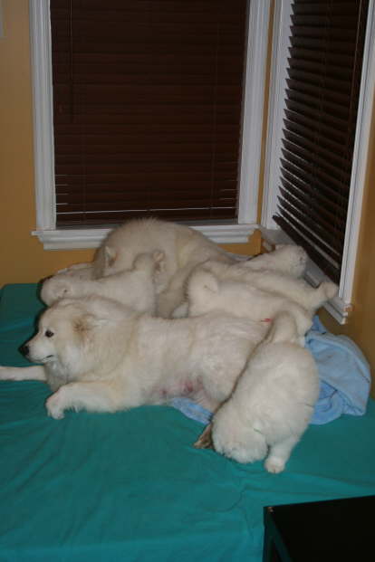 Family cuddle time