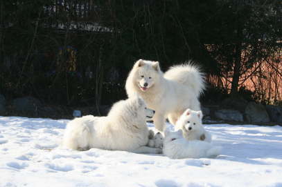 Family cuddle time