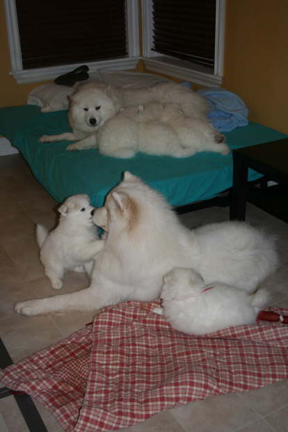 Family time