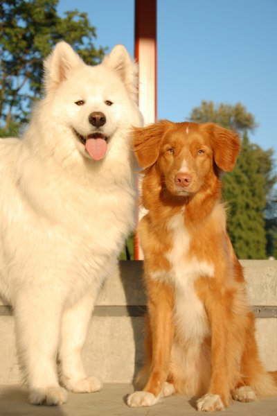 Handsome boys