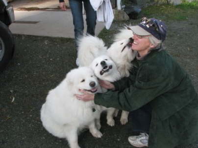 Future puppy mom Tracy is meeting our dogs
