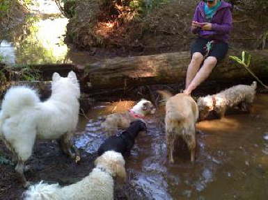 Kannan and friends in the mud